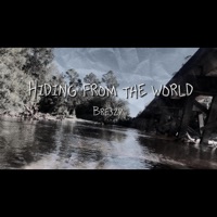 Hiding From The World - Single - Bre3zy
