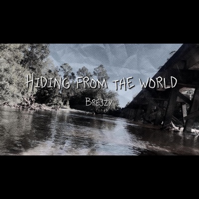 Hiding From The World - Single