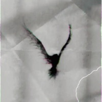 No Rhymes Or No Reasons Deluxe - EP - D.1.Dx3 Tha Pain