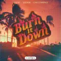 Burn It Down