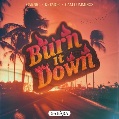 Burn It Down - Single