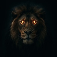 Mufasa - Single - Jayhurd