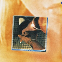 HANDFUL - Single - Andrew Narvaez