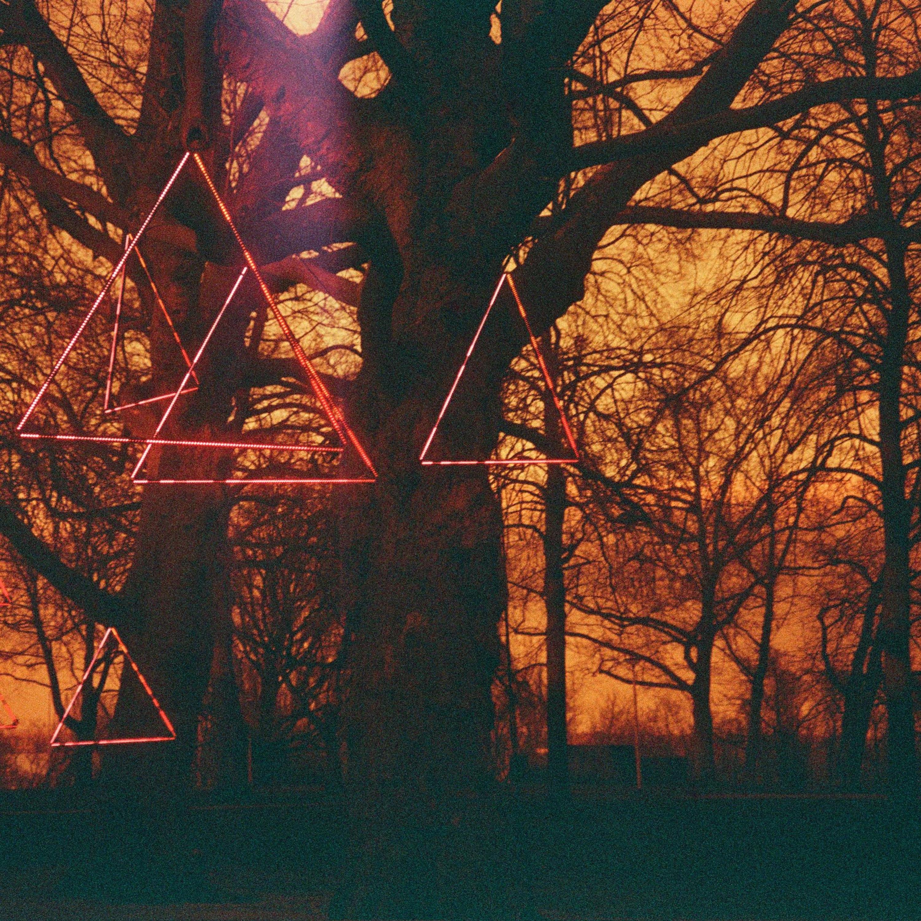 Laissez-faire Support System - Single