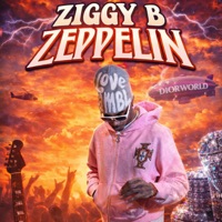 Zeppelin - Single - Ziggy B