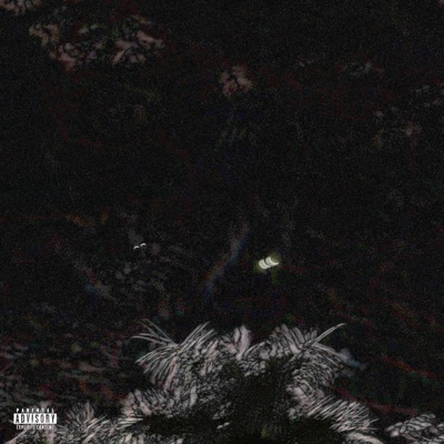 AMÖR D'MADRUGADA - Single