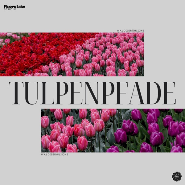 Tulpenpfade