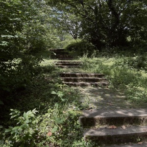 Love - Single