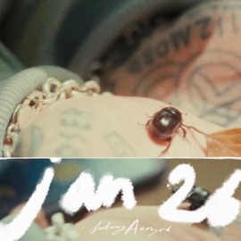 jan26 (feat. Aarigod) Sullii