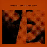 Enamour — What U Said