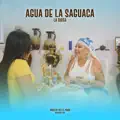 Agua de la Saguaca