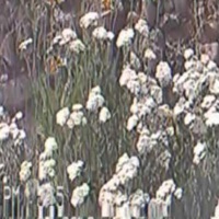 I Had A Dream About You Last Night - Single - 107Tyler