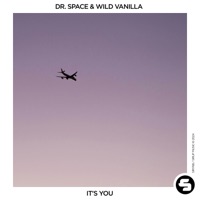 It's You - Single - Dr. Space & WILD VANILLA