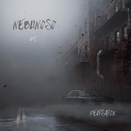 Neblinoso LPC & PelySayon