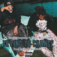 Trying To Change (feat. Klepto Maniack) - Single - BluejayWangTeam