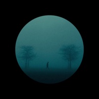 Snowfall - Single - Gama