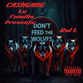 WYS (feat. CCAM MACC6, Awesome & Real4Eva) precise himself