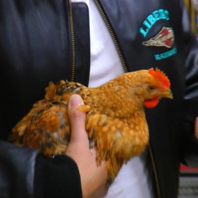 BOBOTA (feat. Romeo Don't Die) - Single