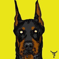 MSNC - Single - Le Squadre & glowab