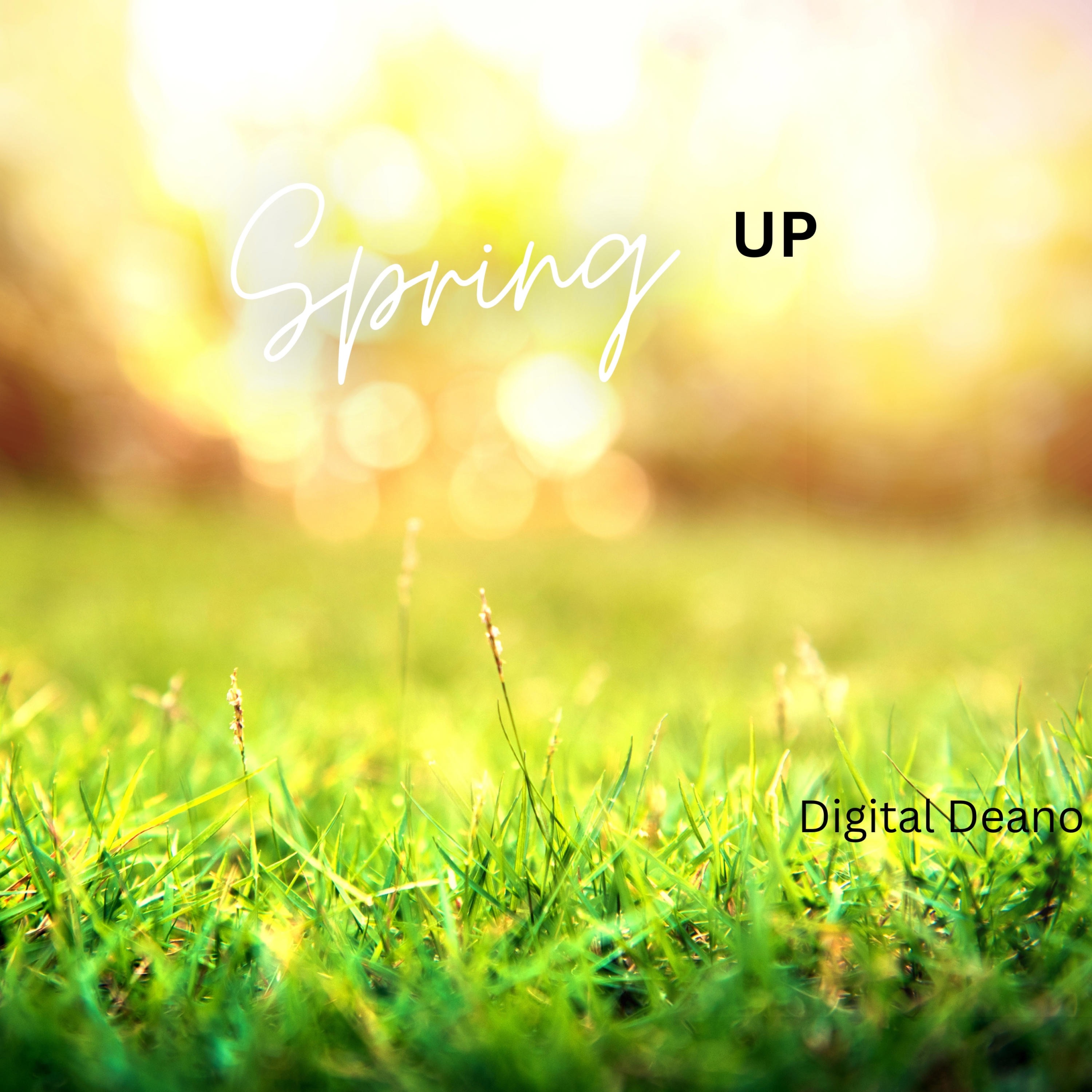 Spring Up - Single