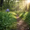 Just a Small Place