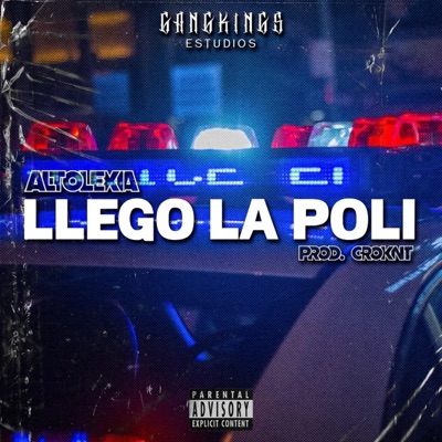 Llego la Poli - Single