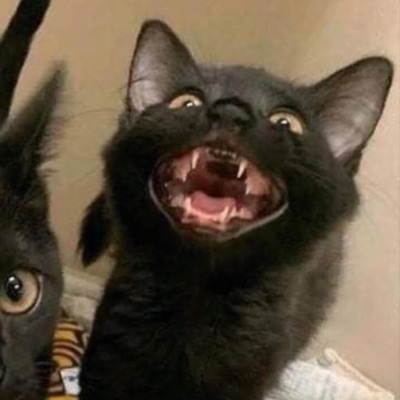 Violet in Decay - EP