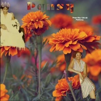 Pansy (feat. Buttaraspy) - Single - 2S.Beatz Productions