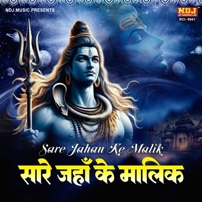 Sare Jahan Ke Malik - Single