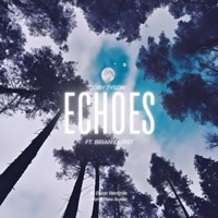 Echoes - Single - Coby tyson & Brian Durst