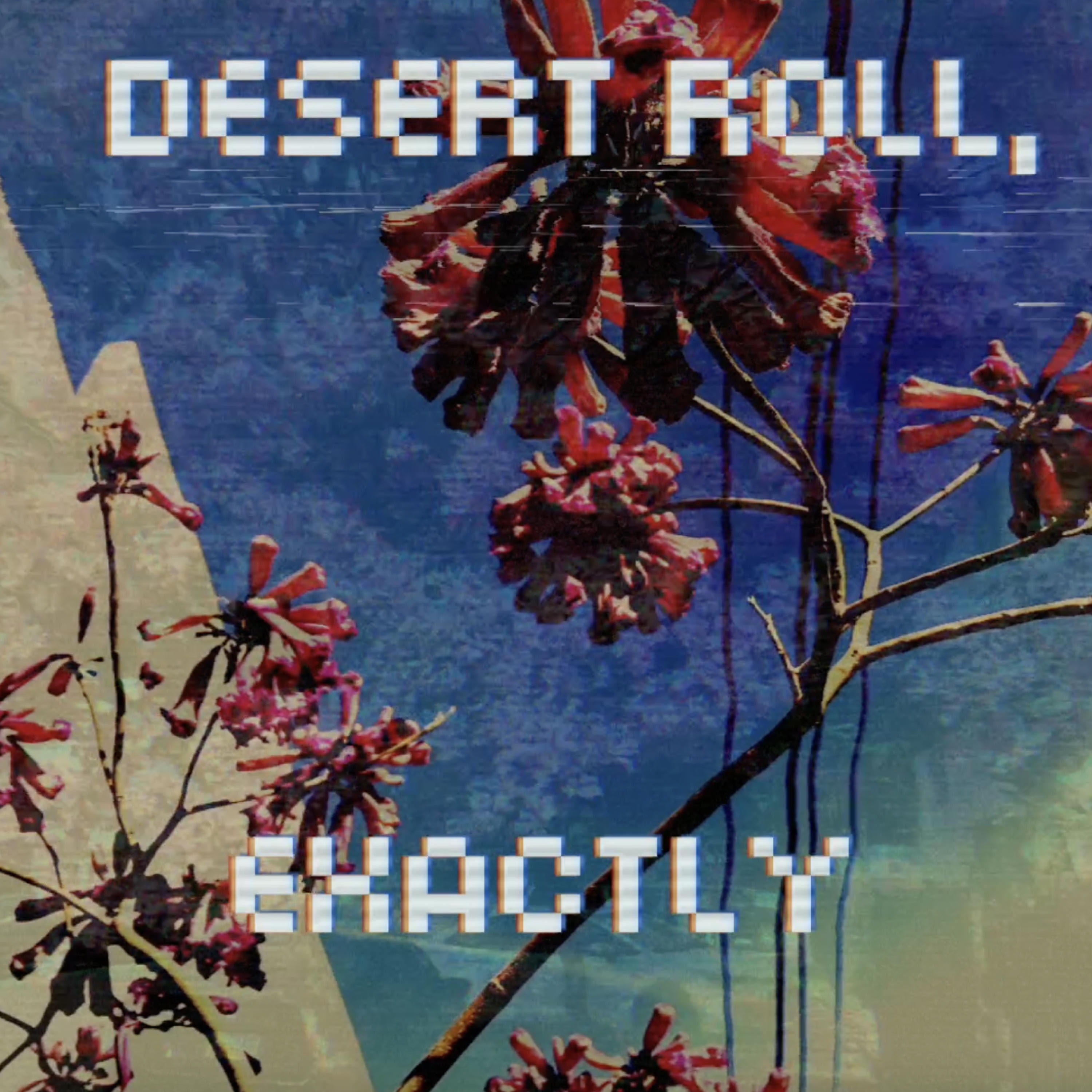 Desert Roll, Exactly. - Single