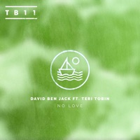 No Love (feat. Teri Tobin) - Single - David Ben Jack