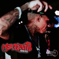 10 MINUTINHOS 4-2-2 VIDA RASA DA TROPA DO PESTINHA KKK - DJ MESQUITA DE NV