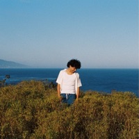 Honeycomb - Single - Jacob Wright