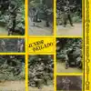 Junior Delgado - Rich man poor man