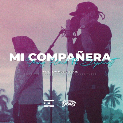 Mi Compañera (feat. Young Flock) - Single