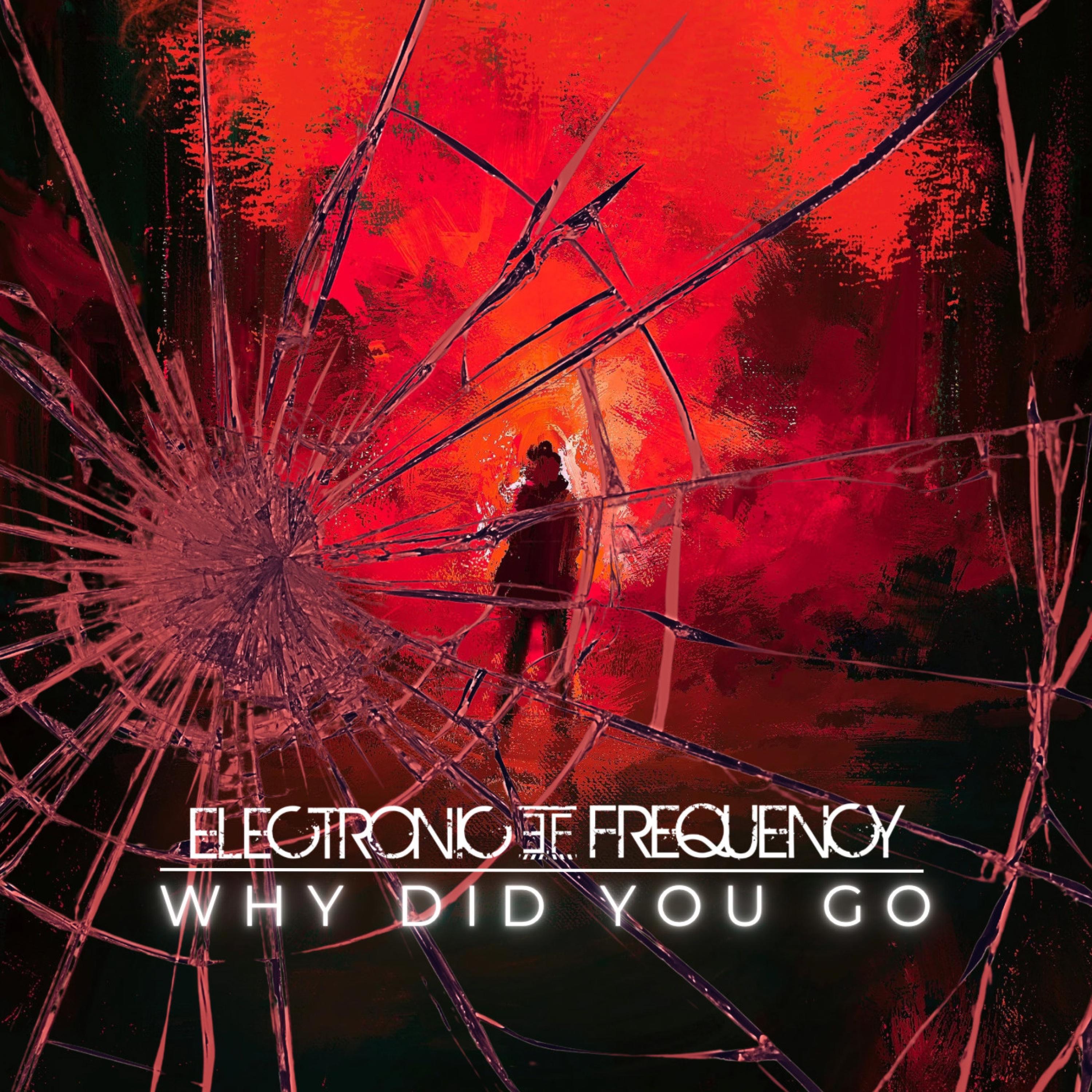 Why Did You Go - Single