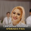 Cand Petrece Bihoreanul - Single