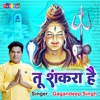 Tu Shankara Hai - Single