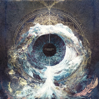 Beneath the Ocean of Names: Where a Mind Once Held the Sky