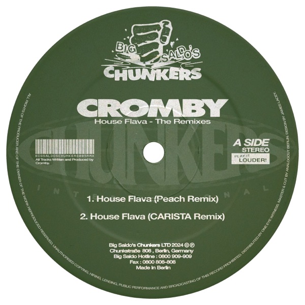 House Flava - the Remixes - Single