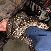 2Cold! - Single - Zaid