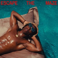 Escape the Maze - Single - Sam Wise