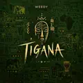 Tigana