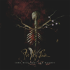Time Will Heal Our Wounds - For My Pain...