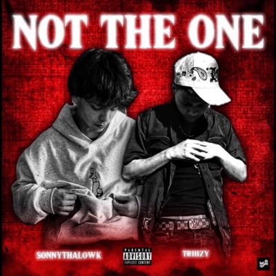 Not The One (feat. Triiizy) - Single