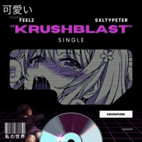 FEELZ X SXLTYPETER - KRUSHBLAST (feat. SXLTYPETER) - Single - FEELZOFICIAL 12