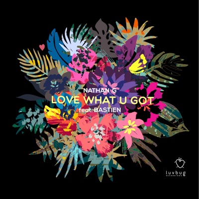 Love What U Got (ReFeel) - Single