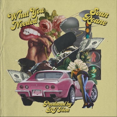 What You Needed - Single