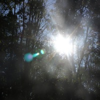 убивай - Single - djset & STACYFLOWERR